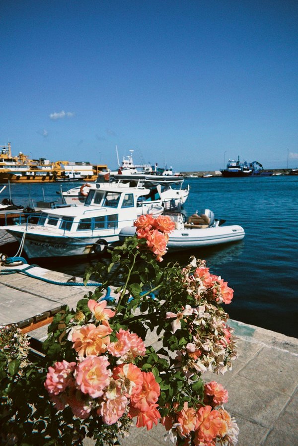 Fender boot: der ideale schutz für ihr boot im hafen